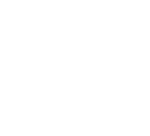 Subverum Logo